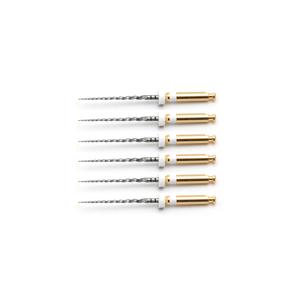 21mm S2 Dental Dentsply Universal ProTaper Endodontic Rotary Shaping Files 6pcs