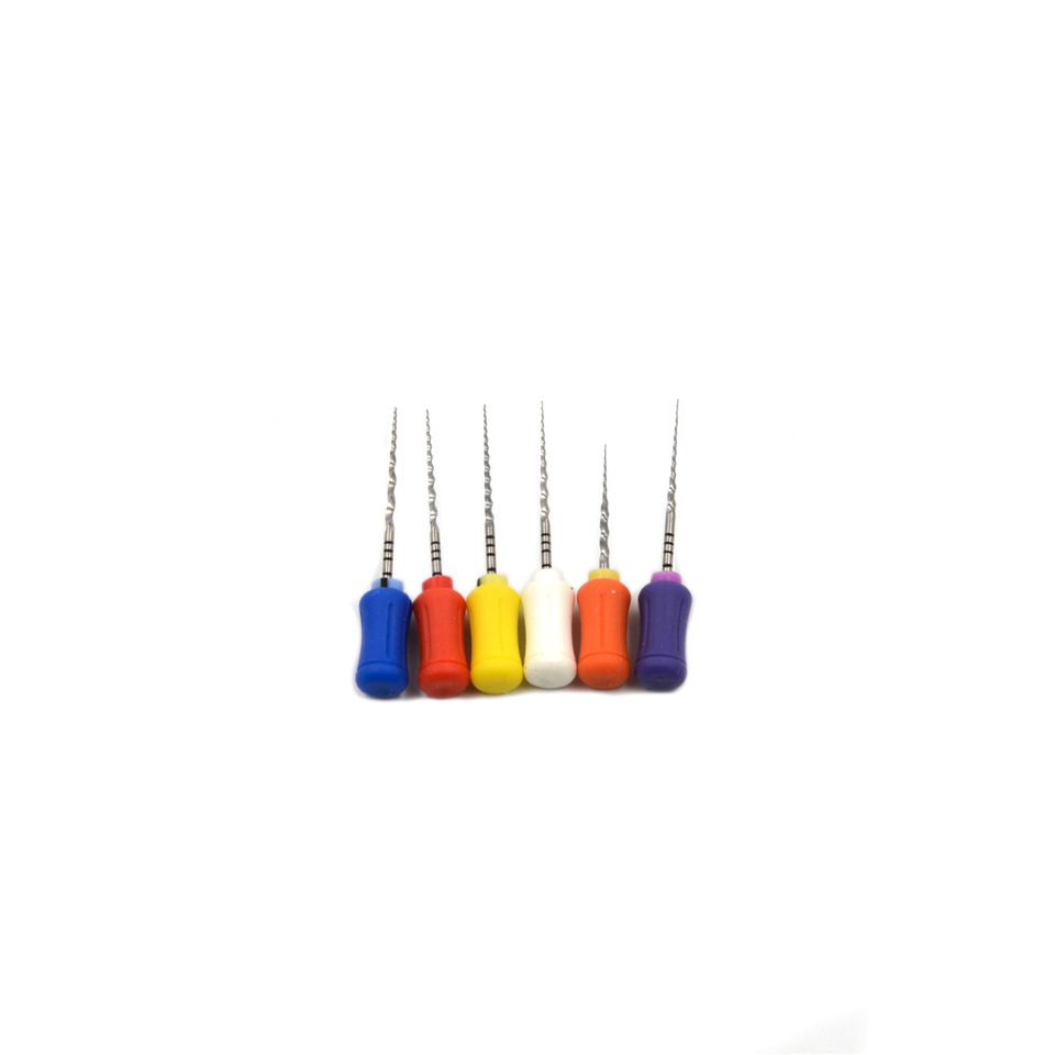 6 pcs Dentsply Maillefer Protaper 25MM-SX-F3-NITI root Canal File Hand