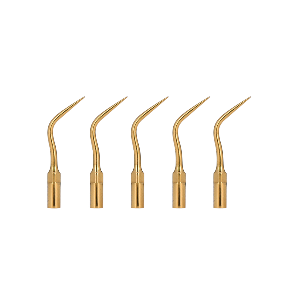 5 pcs Dental Scaler Perio Scaling Tip for EMS WOODPECKER P3T