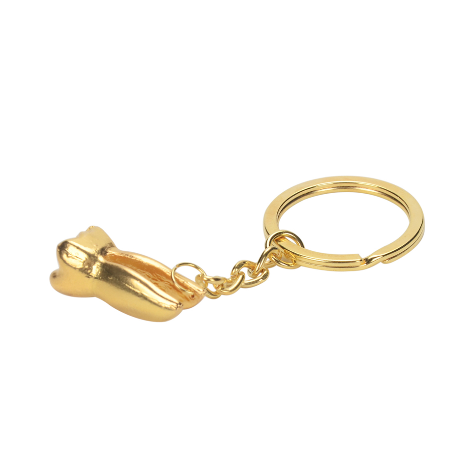 1pcs Molar Shaped Tooth Key Chain Key Ring Dentist Dental Lab