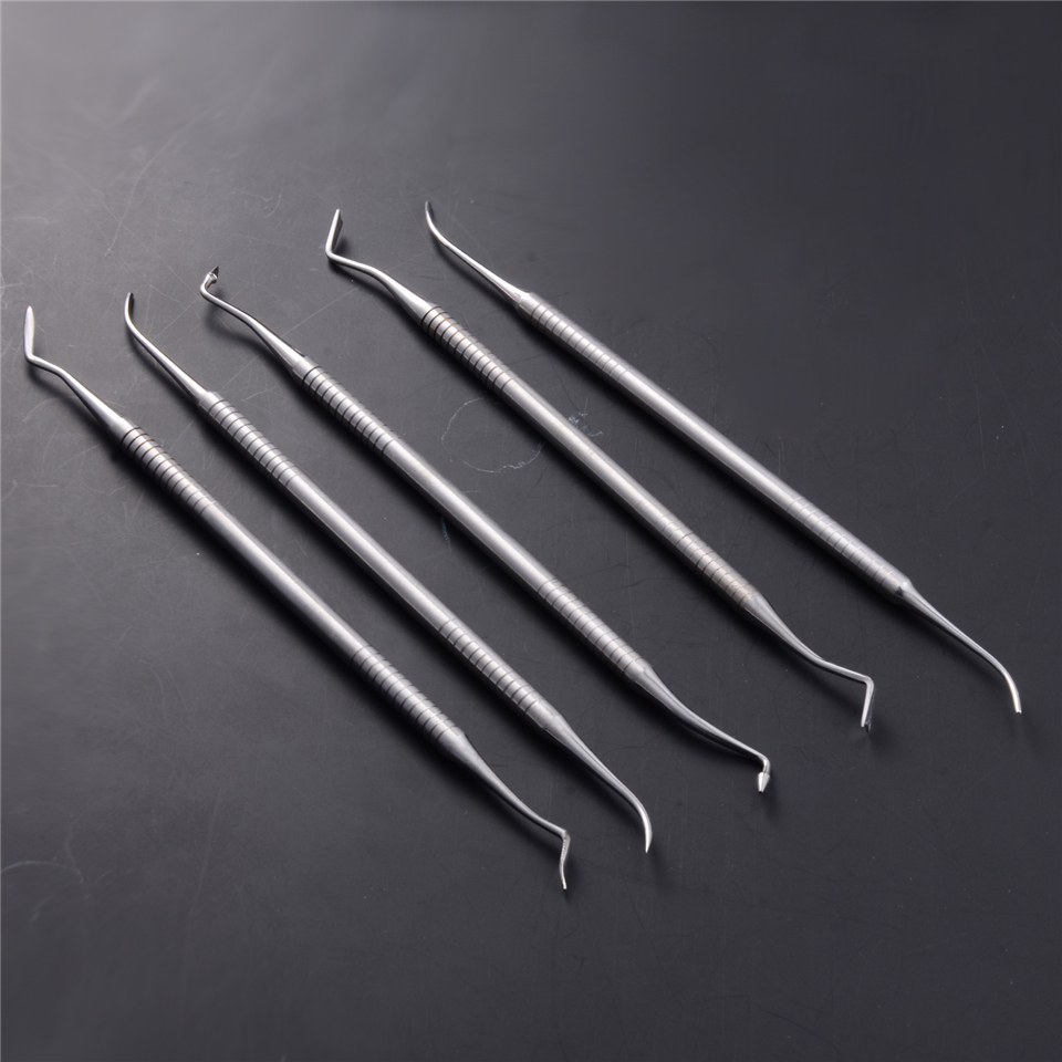 5pcs Dental Tooth Pick Pic Probe Set Kit Hygiene Tools Stainless Steel