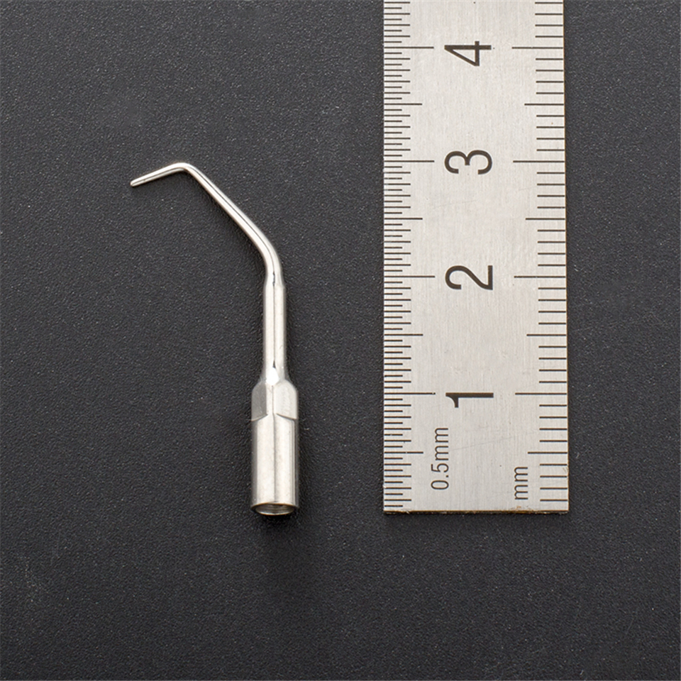 Dental Ultrasonic Scaler Eneodontics Tip E10 For EMS/WOODPECKER Handpiece