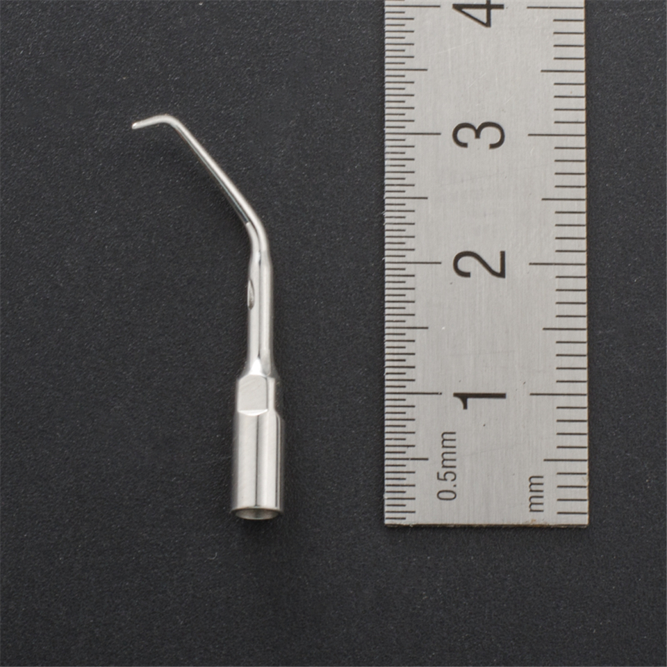 Dental Ultrasonic Scaler Eneodontics Tip E11 For EMS/WOODPECKER Handpiece