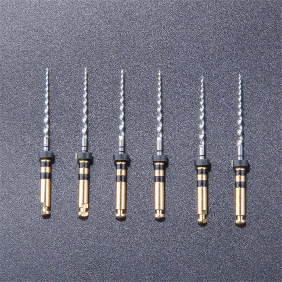 6PCS/PACK 21MM F4 ProTaper Files Niti Dental Dentsply Rotary For Macbine Use